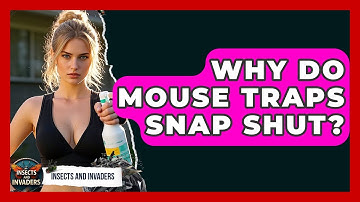 Why Do Mouse Traps Snap Shut? - Insects and Invaders