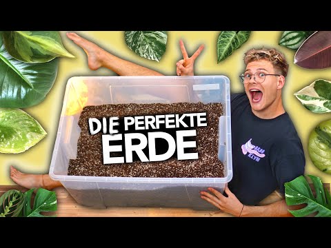 Video: Wie viel Mist mische ich mit Erde?