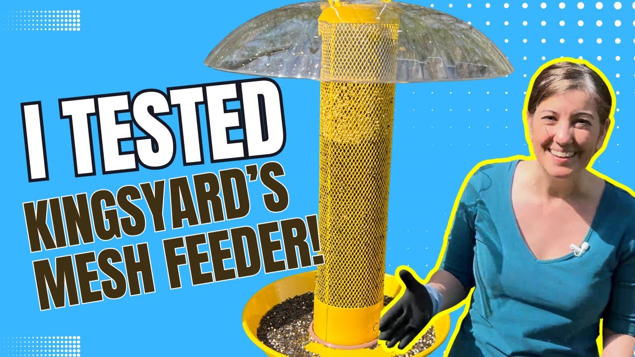 Here's My Latest Bird Feeder Review by Kingsyards for Small Birds like Finches - Must Watch!