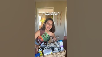 Showing you all the ways to help you get get rid of fungus gnats #planthelp #fungusgnats #plantpests