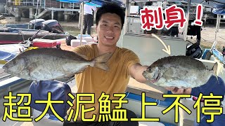 釣魚2024｜18浦船釣巨型泥鯭上不停！！！挑戰泥鯭刺身！你們夠膽試嗎？￼