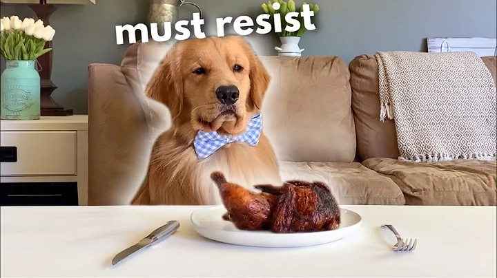 Leaving My Dog Alone with a Whole Chicken