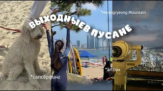 ВЫХОДНЫЕ В ПУСАНЕ | Артбокс, сапсёрфинг, закат на горе в центре города