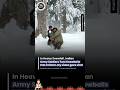 Snowfall Can’t Stop Them ❄️🔥 | Indian Army Cricket in Snow #nda2026 #feedshorts #trending #upsc