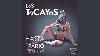 Video thumbnail of "Los Tocayos - La Tentadora"