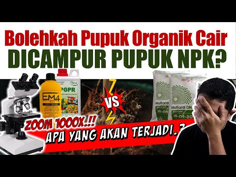 Video: Apakah itu urea? Mari jadikan ia mudah dan boleh diakses