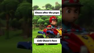 what happens next dino edition paw patrol shorts