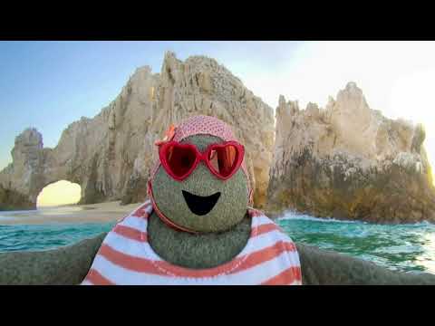 Tiny Chef En Las Calles | Los Cabos Cheffy Blog #savetinychef #tinychef #thetinychefshow #tinychef