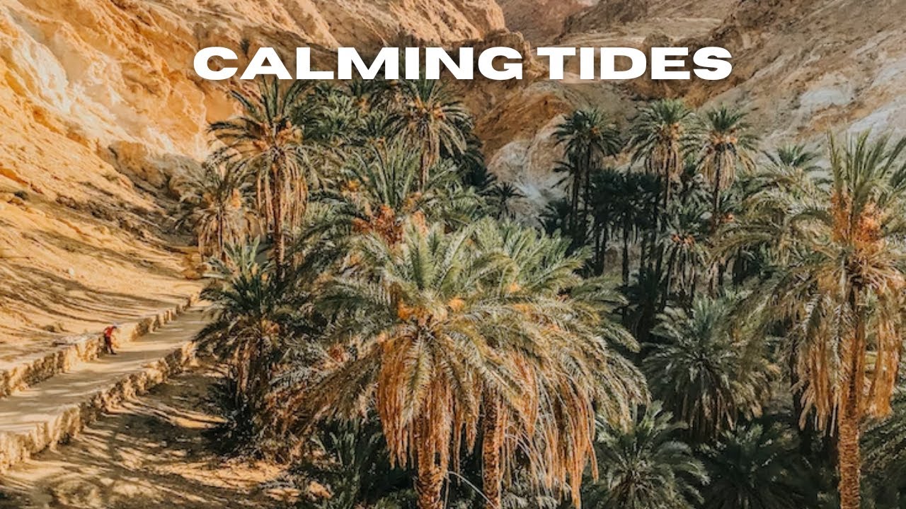 Calming Tides [EzMusic Release] Summer Study Relaxation: Productive ...