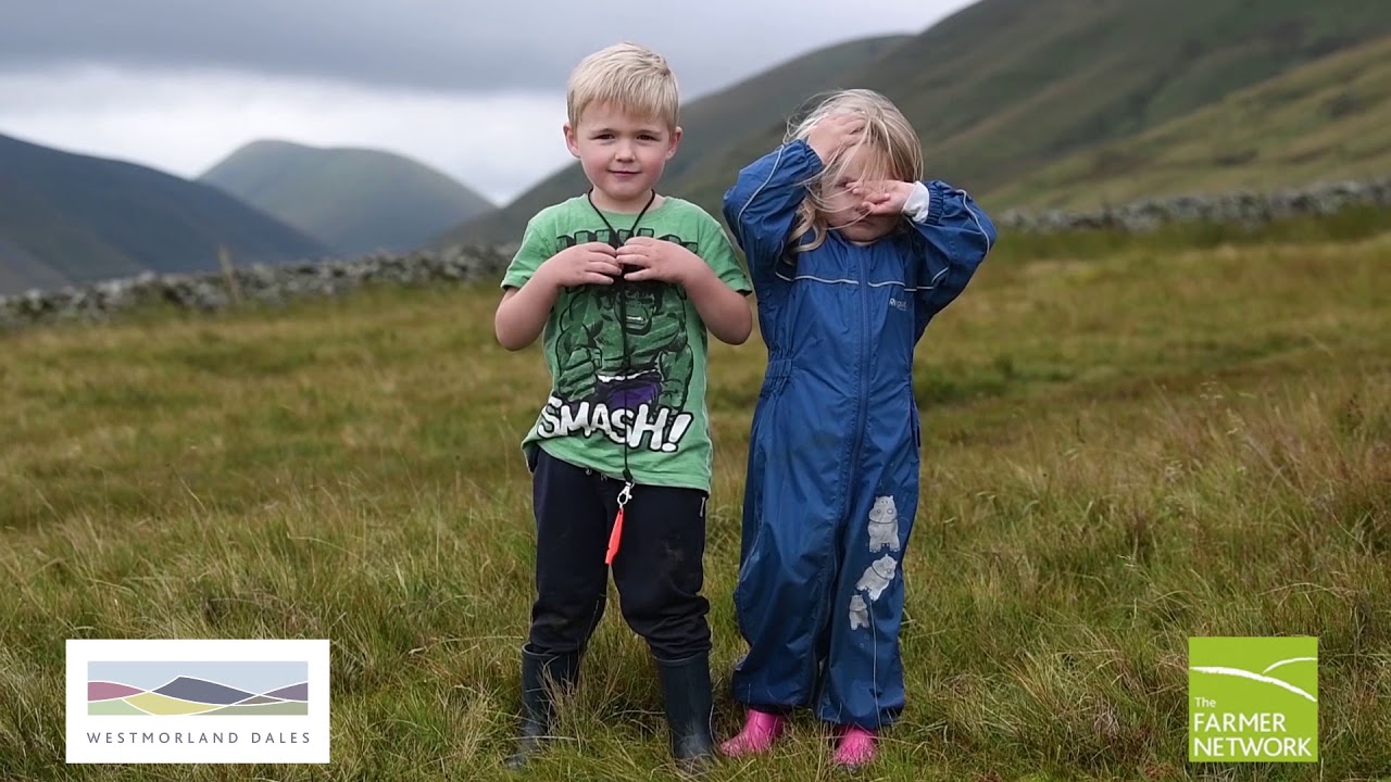 Shepherding in Cumbria - The Gathering of the Howgills