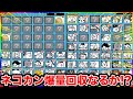 【117日目】だいぶキャラ図鑑埋まってきたのでネコカン回収してみた結果　1日1分しかプレイ出来ないにゃんこ大戦争