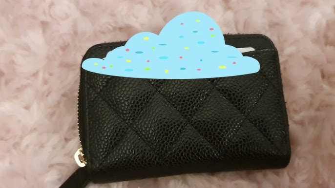 CHANEL 19 COIN PURSE, SKIP OR BUY??