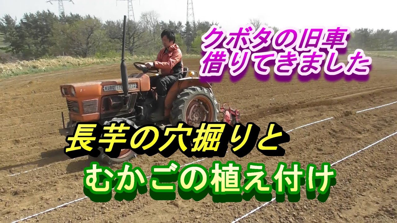 長芋の穴掘りとむかごの植え付け - YouTube
