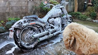 Wash the Harley Davidson Fat Boy asmr