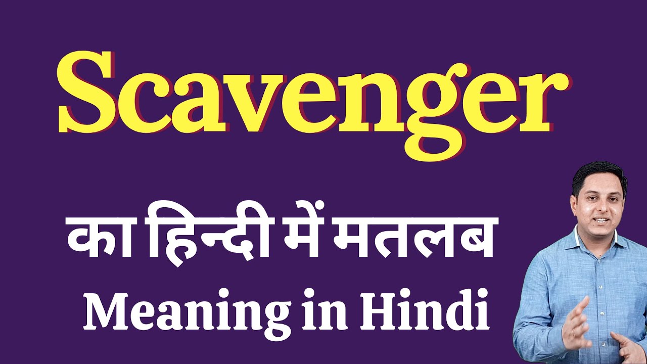 Scavenger meaning in Hindi | Scavenger का हिंदी में अर्थ | explained  Scavenger in Hindi - YouTube