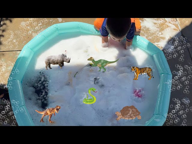 Bubbles POOL ANIMAL COLLECTION with @TwinBrotherzOfficial | Tiger, T Rex, Rhino, Snake class=