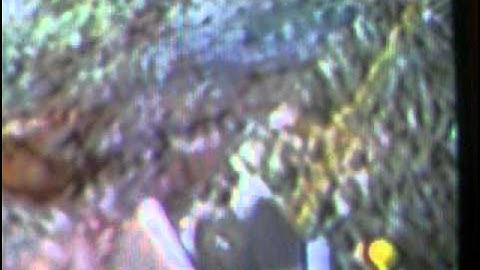 cod waw 5 wii cliffside glitches