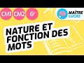 Les natures et les fonctions des mots cm1  cm2  6me  cycle 3  franais grammaire