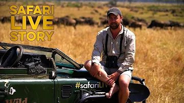 Come diventare una guida safari?