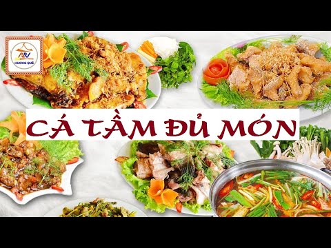 Video: Nấu Gì Từ Cá Tầm