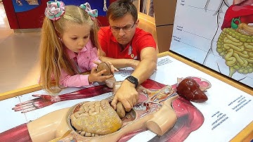 Diana and Roma - Family fun at the Children