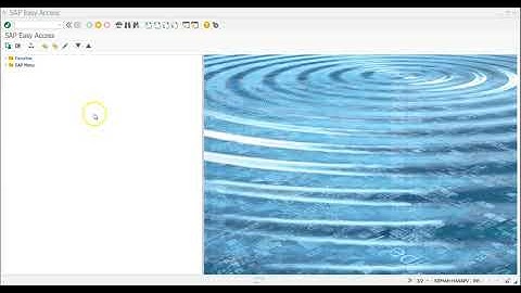 F-28 Customer Incoming payments