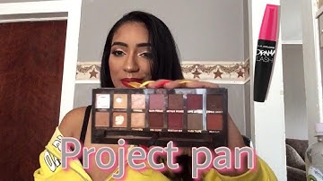 Project Pan Intro 18 in 2018 !
