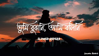 অভিমান ( Slowed   Reverb ) | Tumi Bujhoni Ami Bolini | Tanveer Khan, Piran Khan | #lofi #bengalilofi