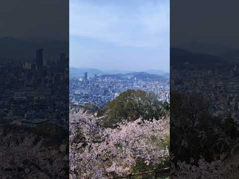 久しぶりに黄金山へ#黄金山 #桜スポット #春ネイル #広島グルメ #広島 #おでかけ