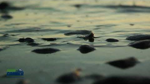 Jason Conger: Leadership