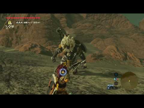 【ブレワイ(BotW)】たてがみおじさんクッキング【ドリカラ】