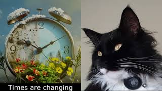 BST is here! Roll on early breakfast! Mr. Darcy, tuxedo cat by Cat Diary - just sharing days of being a cat 20 views 1 month ago 34 seconds