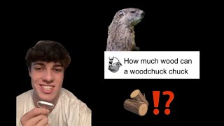 How much wood could a woodchuck chuck if a woodchuck could chuck wood? 🦦🪵