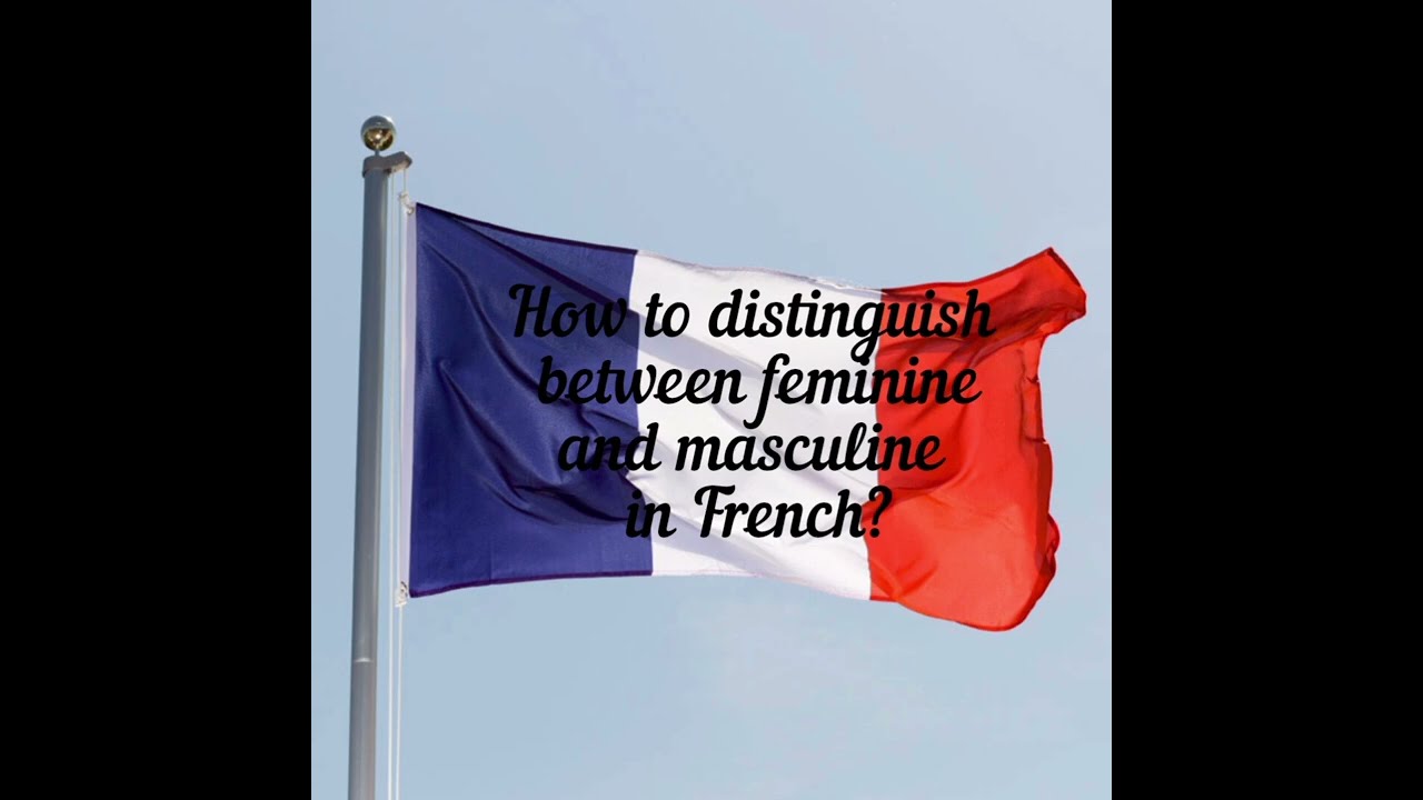 How to distinguish between feminine and masculine in French? Alouette