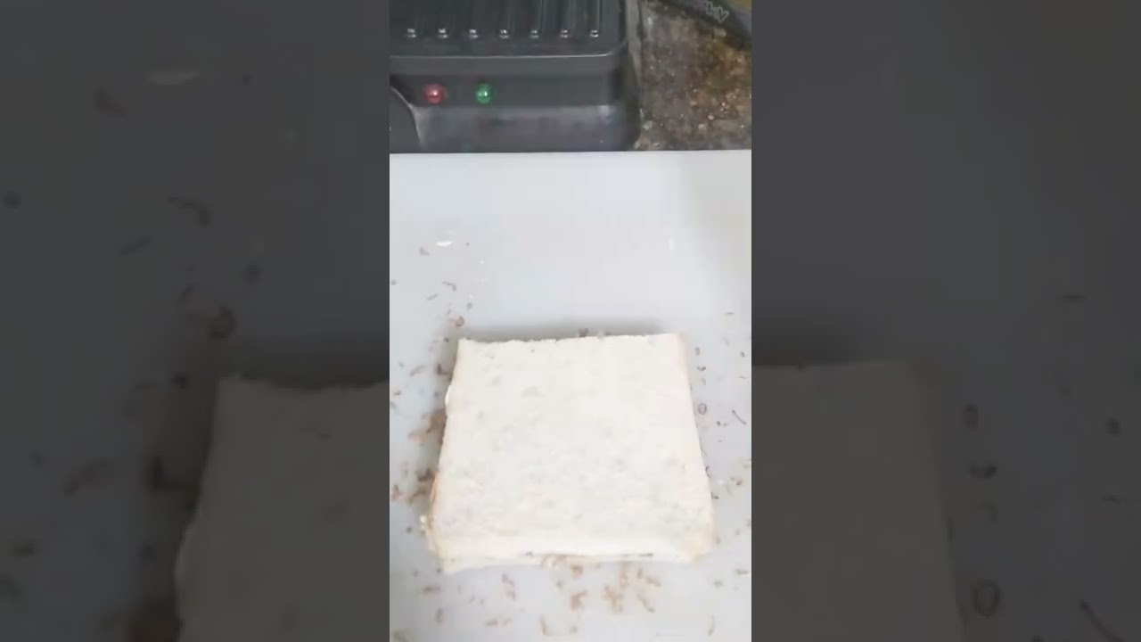 Yummy Chocolate Sandwich| Chocolates & Sweets Wonderland| 