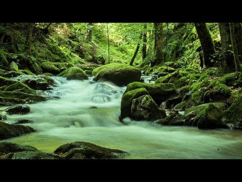 instrumental-hymn---come,-thou-fount-of-every-blessing-(celtic-style)