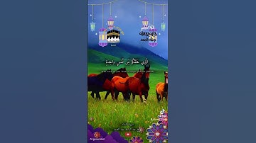 القران الكريم #الرحمن #اكسبلور #تيك_توك