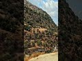 الفنان احمد القسيم دزني واعرف مرامي
