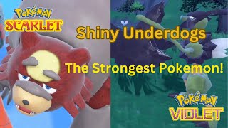 How to Make your Transferred Pokemon the Absolute Strongest in Scarlet and Violet