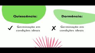 As sementes e o processo de germinação | Fisiologia Vegetal UFJF - ERE 2020 As sementes e o processo de germinação | Fisiologia Vegetal UFJF - ERE 2020