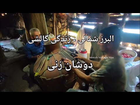 البرز شمالی زندگی گالشی دوشان زنی    