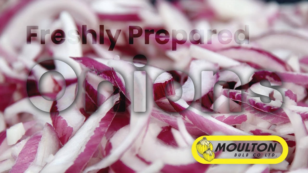 Prepare Onion Production from Moulton Bulb YouTube