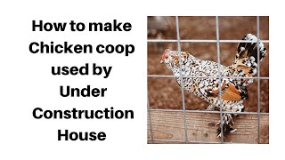chicken coop in pakistan 7
