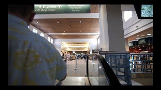 Stars Gotta Land Somewhere - Sunport Art Opening 1029