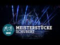 Capture de la vidéo Wdr 3 Meisterstücke: Franz Schubert - Sinfonie In H-Moll, D759 ("Unvollendete") | Wdr 3