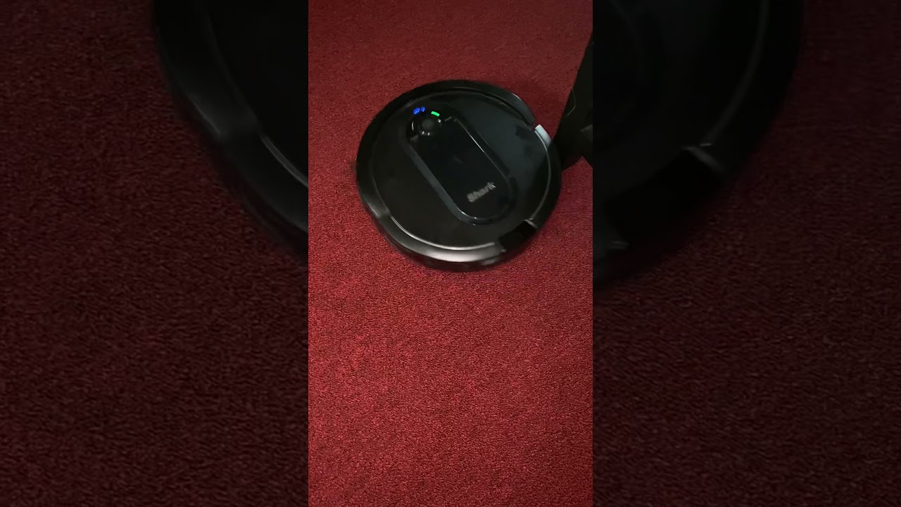 Roomba cleaning my carpet
