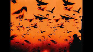 [FREE] Turkish Sad Boom Bap Beat - \