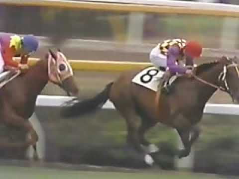 日本ダービー 1976年 クライムカイザー 日本ダービー - YouTube