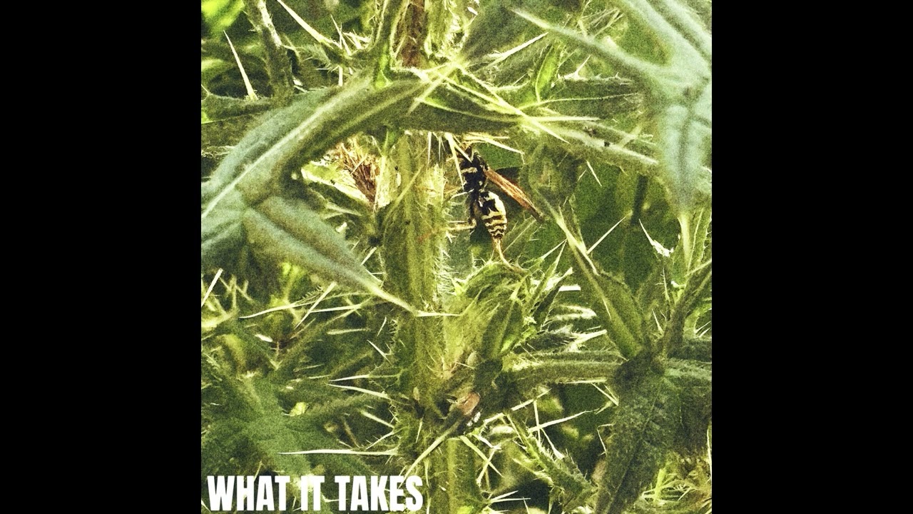 Marco 4d - What It Takes