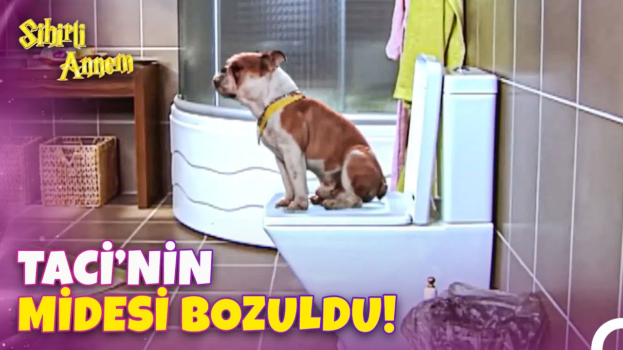 Perilerin Evde Bir Günü Vlog #38: Taci'nin Zor Anları...  - Sihirli Annem